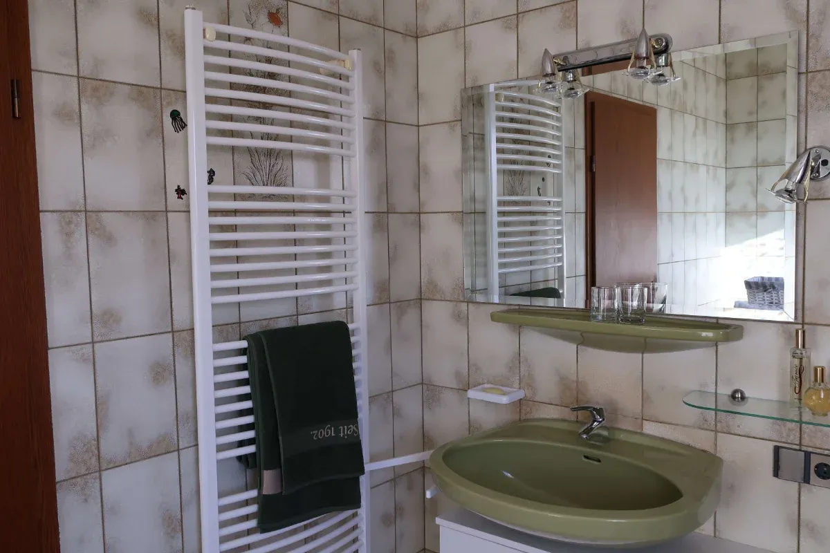 Guesthouse bathroom with shower and modern washbasin